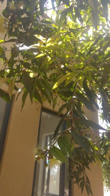 20170503_130147_HDR.jpg