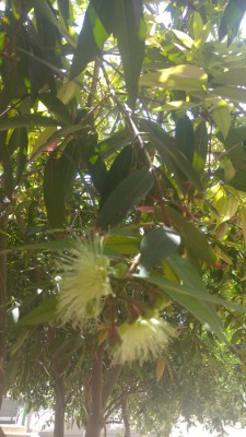 20170503_130126_HDR.jpg