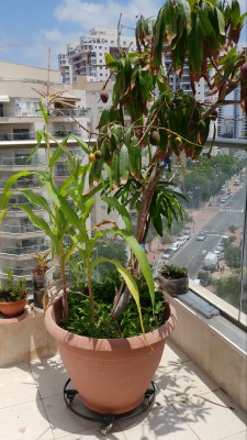 20170610_114250-1.jpg