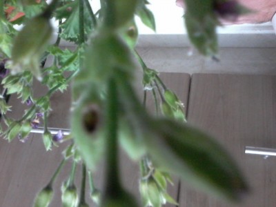20170701_213751.jpg