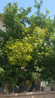 20170705_110112.jpg