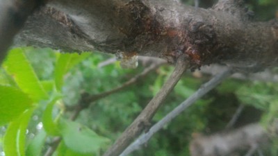 P_20170702_195429.jpg