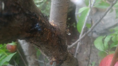P_20170702_195352.jpg