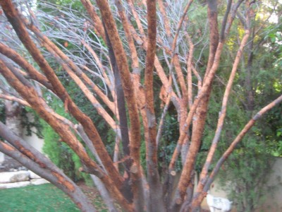 IMG_5846.jpg