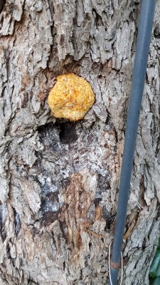 20170831_185343.jpg