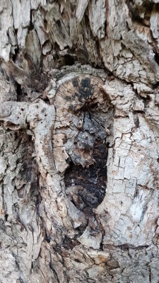 20170831_185336.jpg