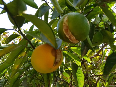 20170929_150445.jpg