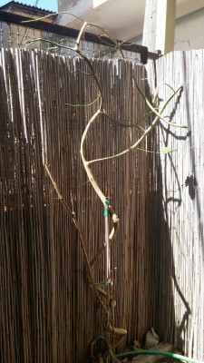IMG-20171003-WA0011.jpg