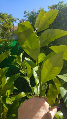 20171202_115500.jpg