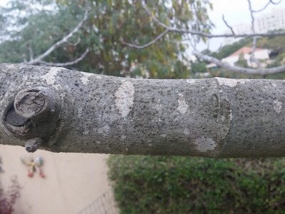 20171218_104626.jpg