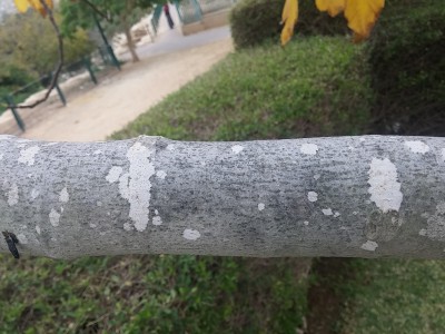 20171218_104634.jpg