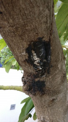 IMG-20180221-WA0010.jpeg