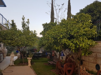 20180408_183543.jpg