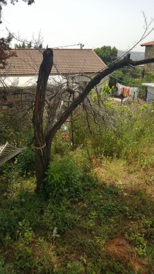 IMG-20180413-WA0007.jpg