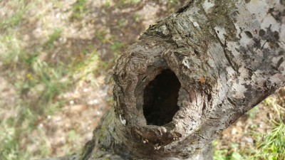 IMG-20180420-WA0009.jpg