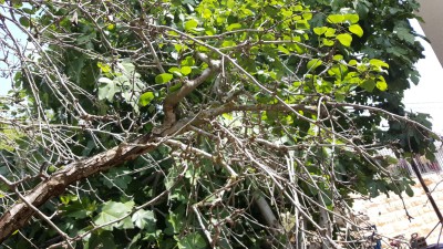 IMG-20180427-WA0010.jpg