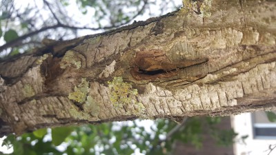IMG-20180504-WA0008.jpeg