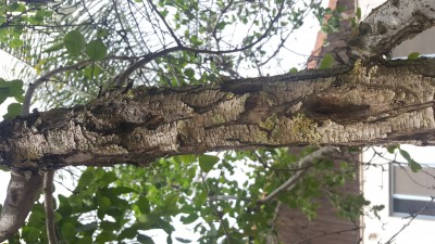 IMG-20180504-WA0006.jpeg