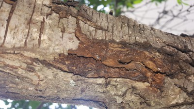 IMG-20180504-WA0004.jpeg