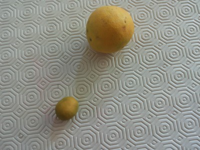 20180507_105022.jpg
