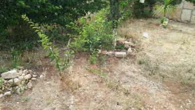 IMG-20180522-WA0039.jpg