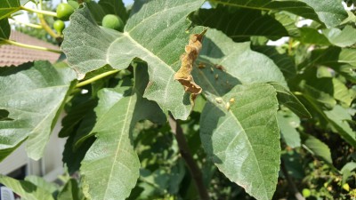 IMG-20180603-WA0005.jpeg