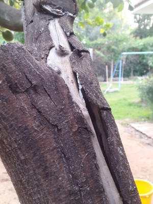 20180628_185128.jpg