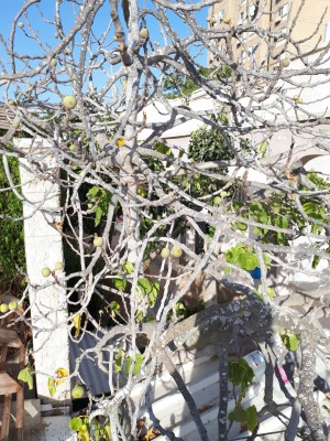 IMG-20180703-WA0002.jpg