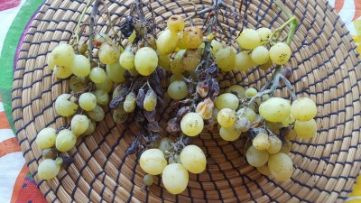 20180707_183411.jpg