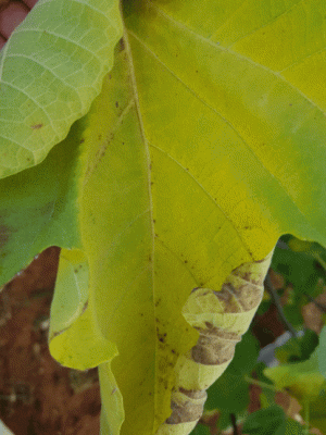 20180729_115148.gif