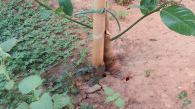 20180819_155604.jpg