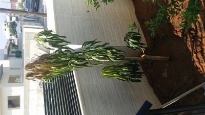 20180716_163017_800x450.jpg