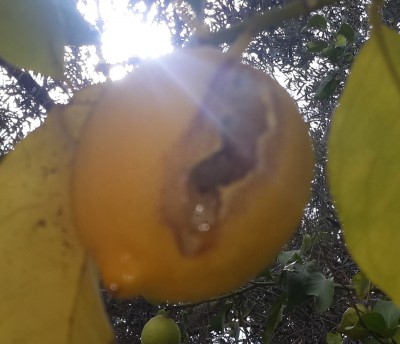 20181031_113906.jpg