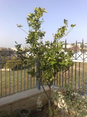 11032010673a.JPG