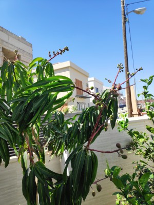 IMG_20190519_160704.jpg