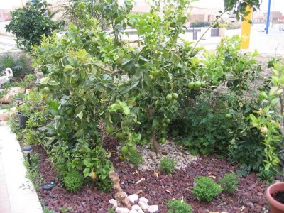 IMG_1981a.JPG