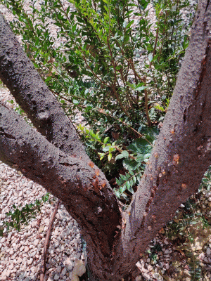 IMG_20190929_133721.gif