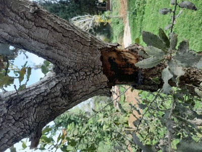 20211213_095442מו.jpg