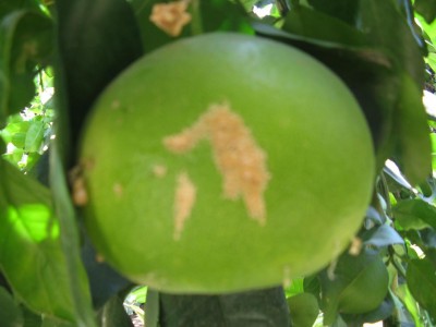 IMG_0795.jpg