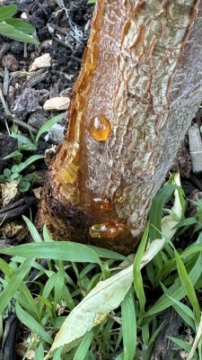 IMG_0660.jpeg