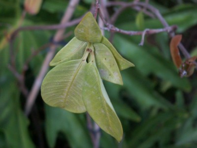 PICT0006.JPG