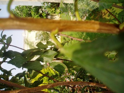 P8180134.JPG